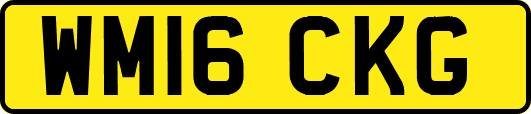 WM16CKG
