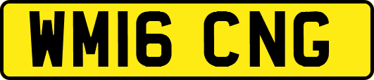 WM16CNG