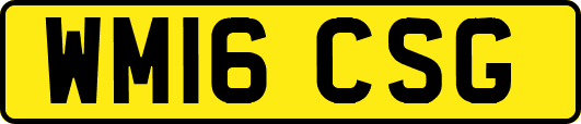WM16CSG