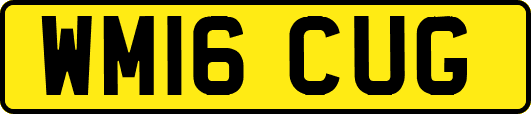 WM16CUG