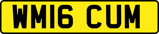 WM16CUM