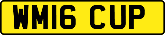 WM16CUP