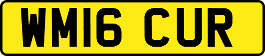 WM16CUR