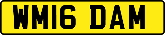 WM16DAM