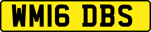 WM16DBS