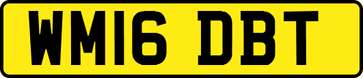 WM16DBT
