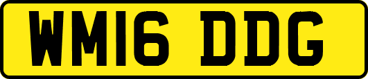 WM16DDG