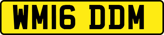 WM16DDM
