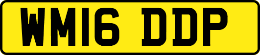 WM16DDP