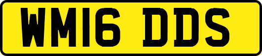WM16DDS