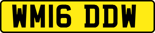 WM16DDW