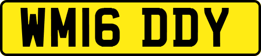 WM16DDY