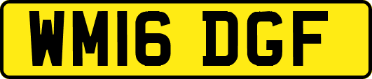WM16DGF