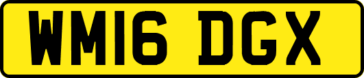 WM16DGX