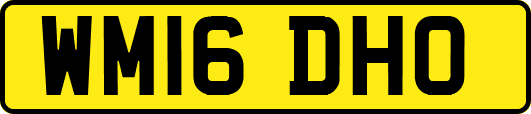 WM16DHO