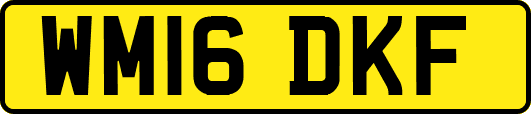 WM16DKF
