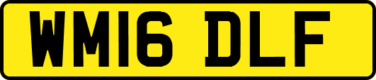 WM16DLF