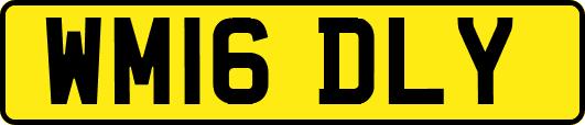 WM16DLY