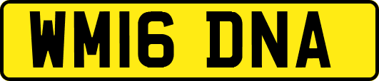 WM16DNA