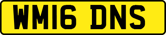 WM16DNS