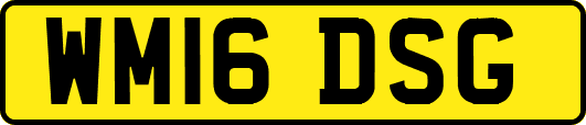 WM16DSG