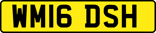 WM16DSH