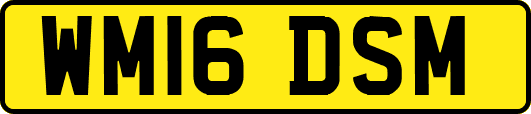 WM16DSM
