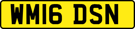 WM16DSN