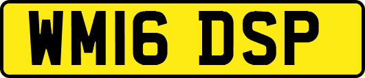 WM16DSP