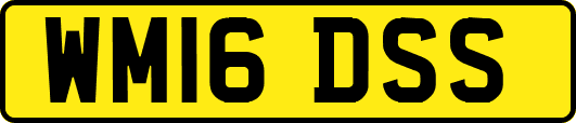 WM16DSS