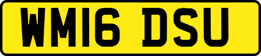 WM16DSU