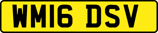 WM16DSV