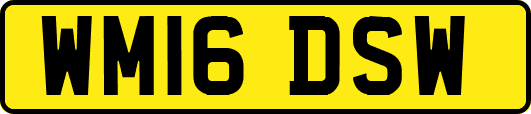 WM16DSW