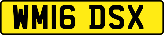 WM16DSX