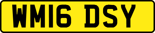 WM16DSY