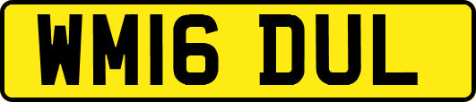 WM16DUL