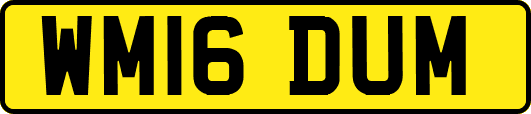 WM16DUM
