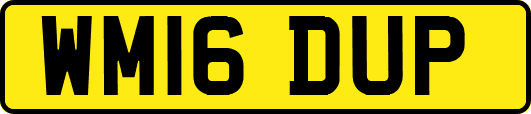 WM16DUP