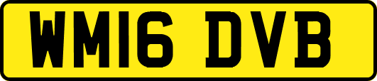 WM16DVB