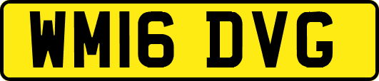 WM16DVG