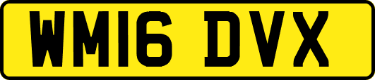 WM16DVX