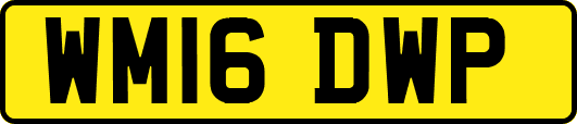 WM16DWP