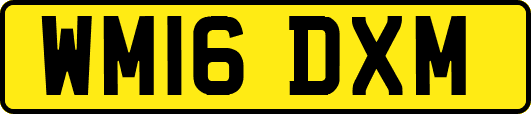 WM16DXM