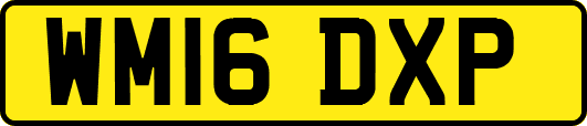 WM16DXP