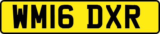 WM16DXR