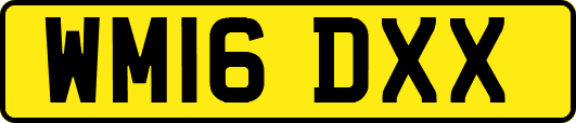 WM16DXX