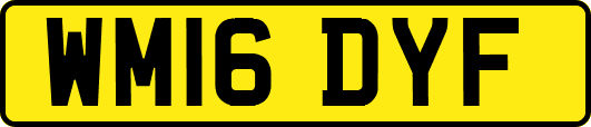 WM16DYF