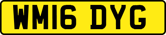 WM16DYG