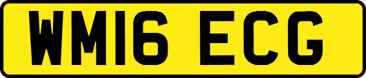 WM16ECG