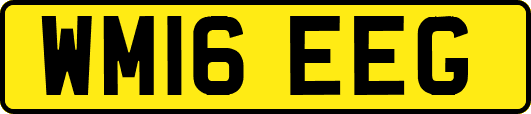 WM16EEG